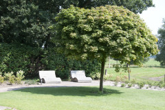 Foto's vakantievilla